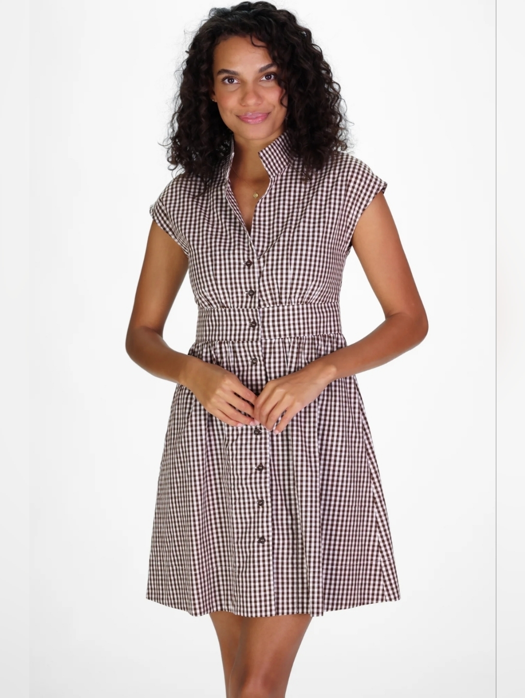 Nwt Gingham Fit & Flare Dress In Brown/White Xl